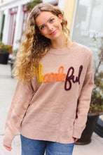 Load image into Gallery viewer, Feeling Thankful Taupe Pop Up Glittery Embroidery Sweater
