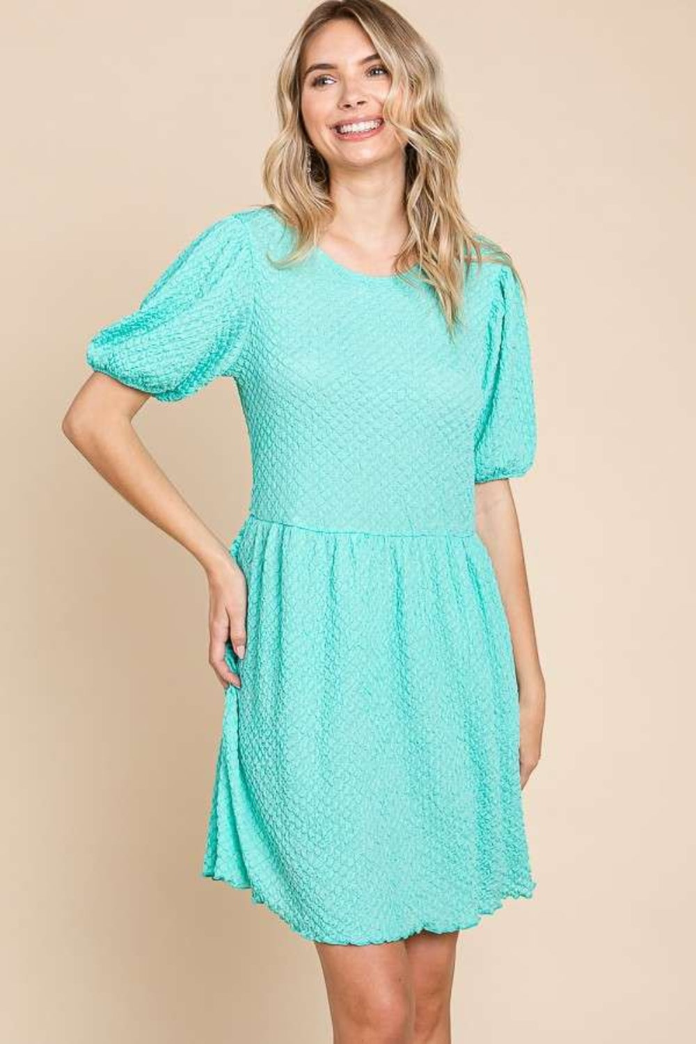 Textured Round Neck Puff Sleeve Dress